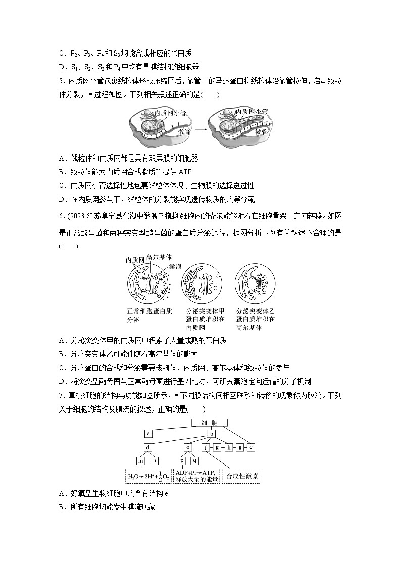 2024年高考生物一轮复习（新人教版） 第2单元　第2课时　细胞器之间的分工合作 练习课件02