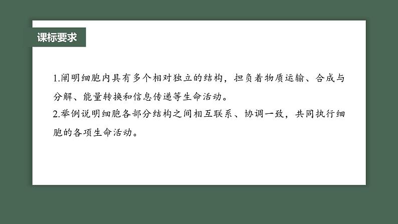 2024年高考生物一轮复习（新人教版） 第2单元　第2课时　细胞器之间的分工合作 练习课件02