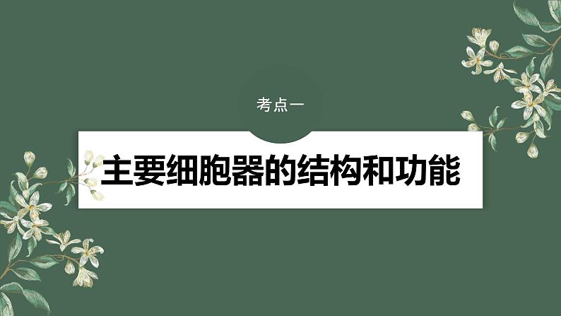 2024年高考生物一轮复习（新人教版） 第2单元　第2课时　细胞器之间的分工合作 练习课件04