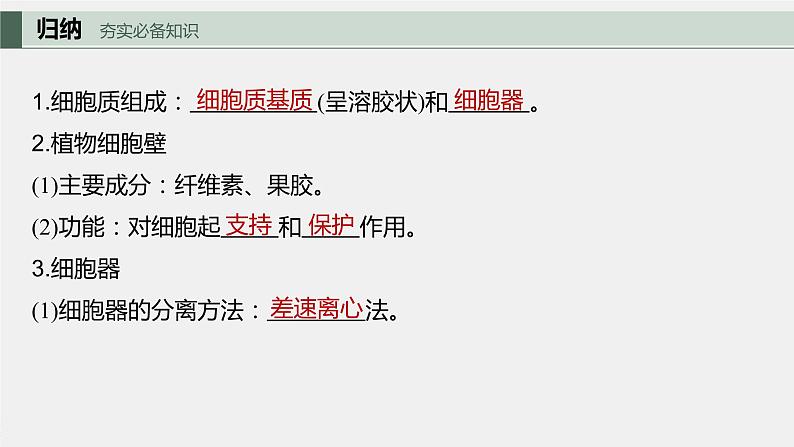 2024年高考生物一轮复习（新人教版） 第2单元　第2课时　细胞器之间的分工合作 练习课件05