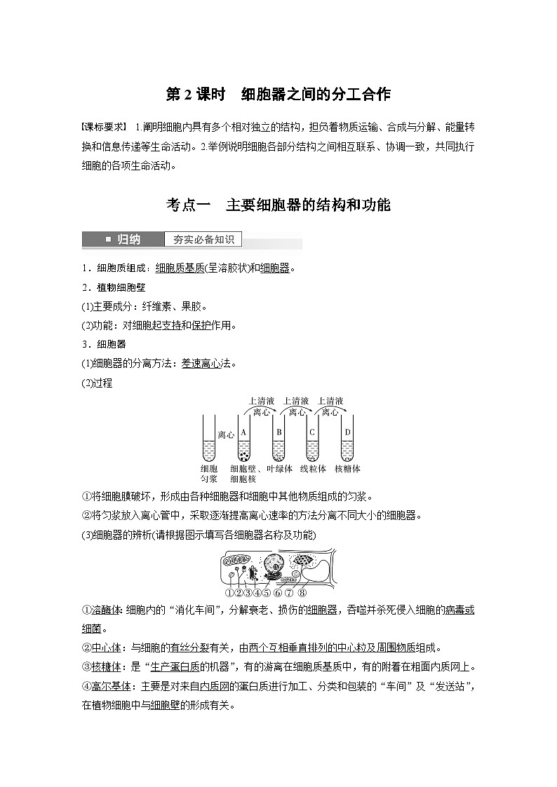 2024年高考生物一轮复习（新人教版） 第2单元　第2课时　细胞器之间的分工合作 练习课件01