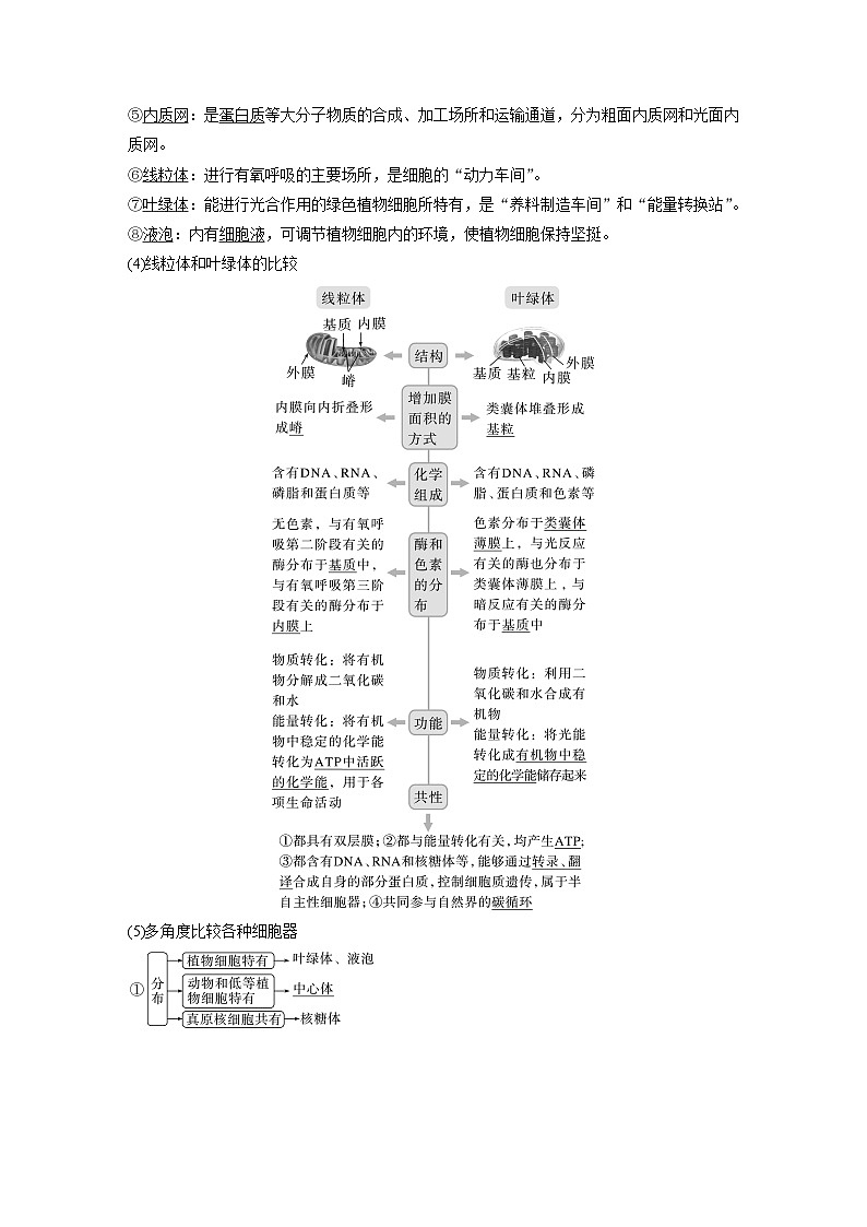 2024年高考生物一轮复习（新人教版） 第2单元　第2课时　细胞器之间的分工合作 练习课件02