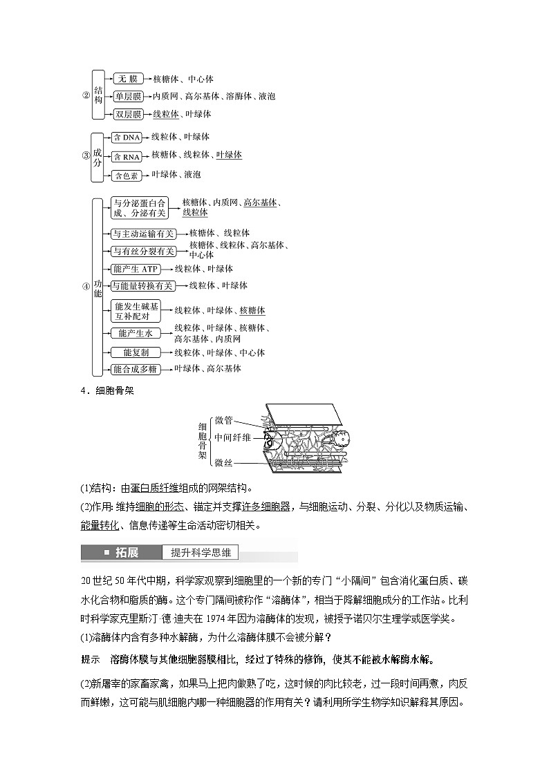 2024年高考生物一轮复习（新人教版） 第2单元　第2课时　细胞器之间的分工合作 练习课件03