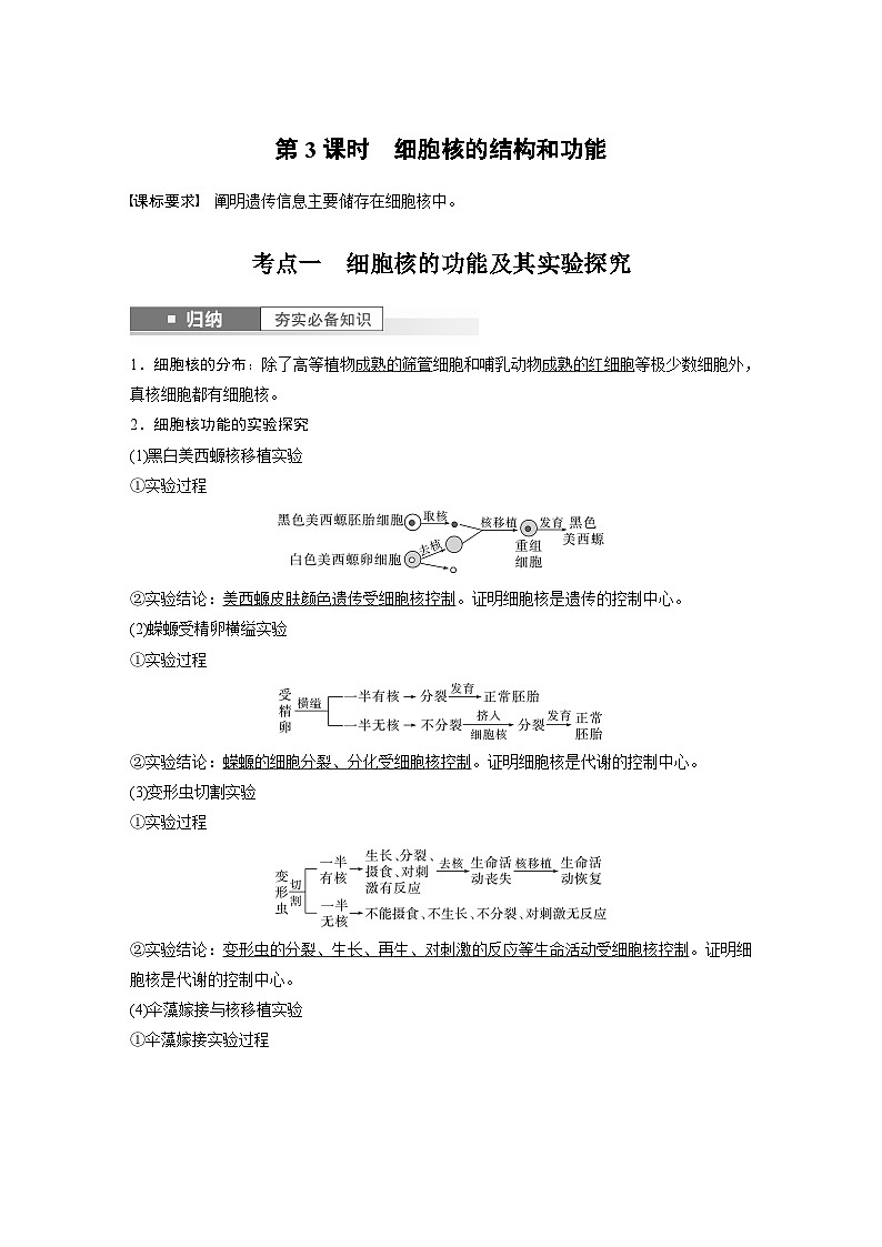 2024年高考生物一轮复习（新人教版） 第2单元　第3课时　细胞核的结构和功能 练习课件01