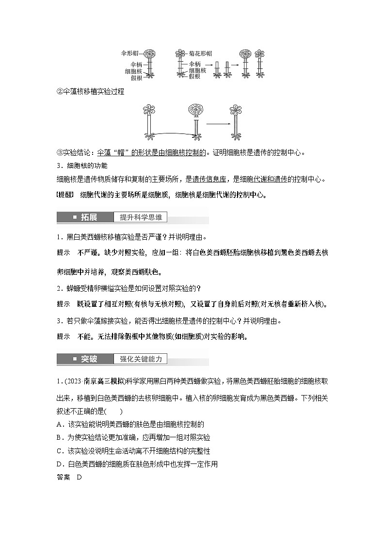 2024年高考生物一轮复习（新人教版） 第2单元　第3课时　细胞核的结构和功能 练习课件02