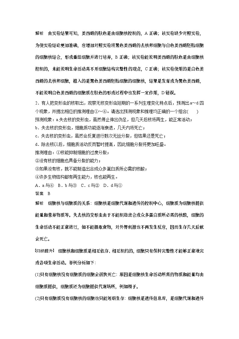 2024年高考生物一轮复习（新人教版） 第2单元　第3课时　细胞核的结构和功能 练习课件03