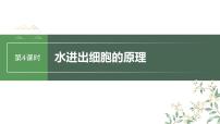 2024年高考生物一轮复习（新人教版） 第2单元　第4课时　水进出细胞的原理