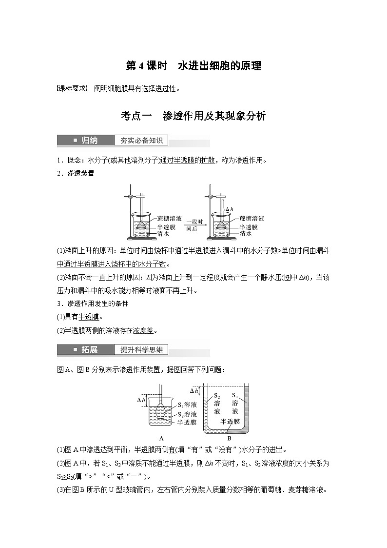 2024年高考生物一轮复习（新人教版） 第2单元　第4课时　水进出细胞的原理 练习课件01