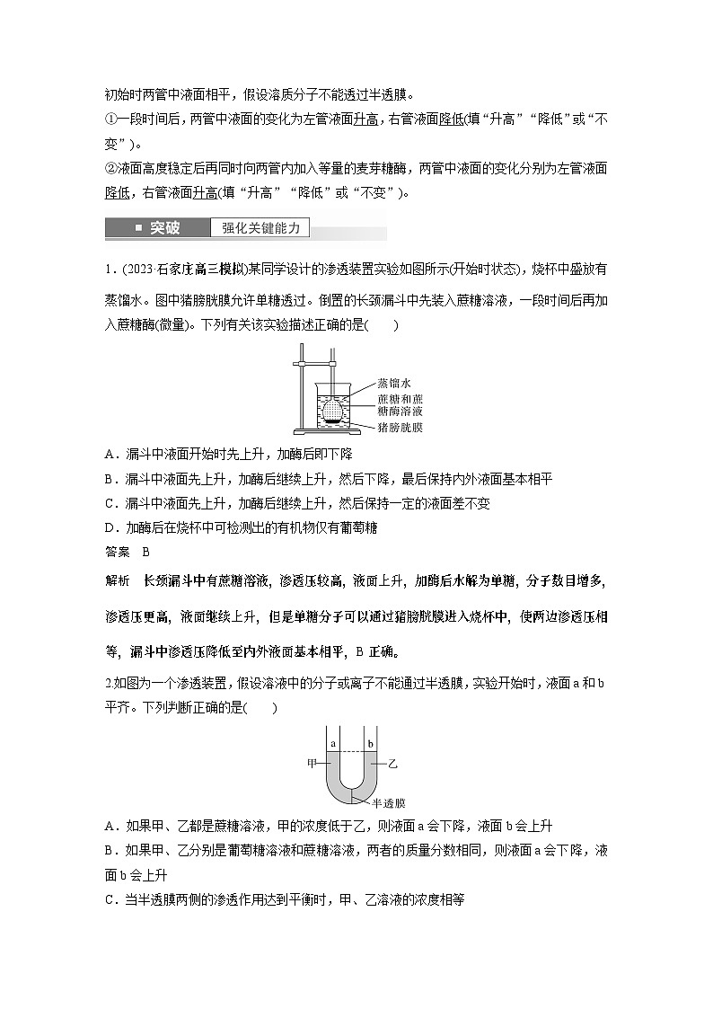 2024年高考生物一轮复习（新人教版） 第2单元　第4课时　水进出细胞的原理 练习课件02