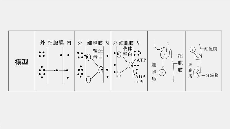 2024年高考生物一轮复习（新人教版） 第2单元　第5课时　物质出入细胞的方式及影响因素 练习课件06