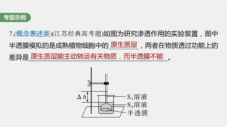 2024年高考生物一轮复习（新人教版） 第2单元　长句表达(一)　与细胞有关的概念、特点和作用的描述第6页