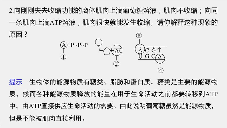 2024年高考生物一轮复习（新人教版） 第3单元　第2课时　细胞的能量“货币”ATP 练习课件08