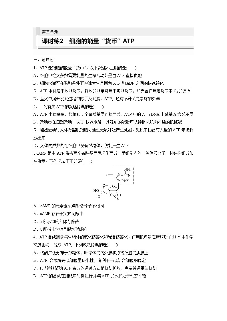 2024年高考生物一轮复习（新人教版） 第3单元　第2课时　细胞的能量“货币”ATP 练习课件01