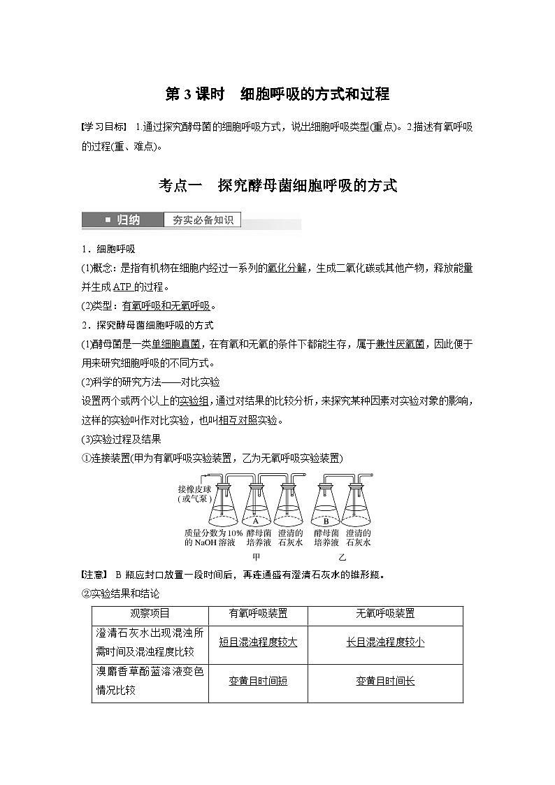 2024年高考生物一轮复习（新人教版） 第3单元　第3课时　细胞呼吸的方式和过程 练习课件01