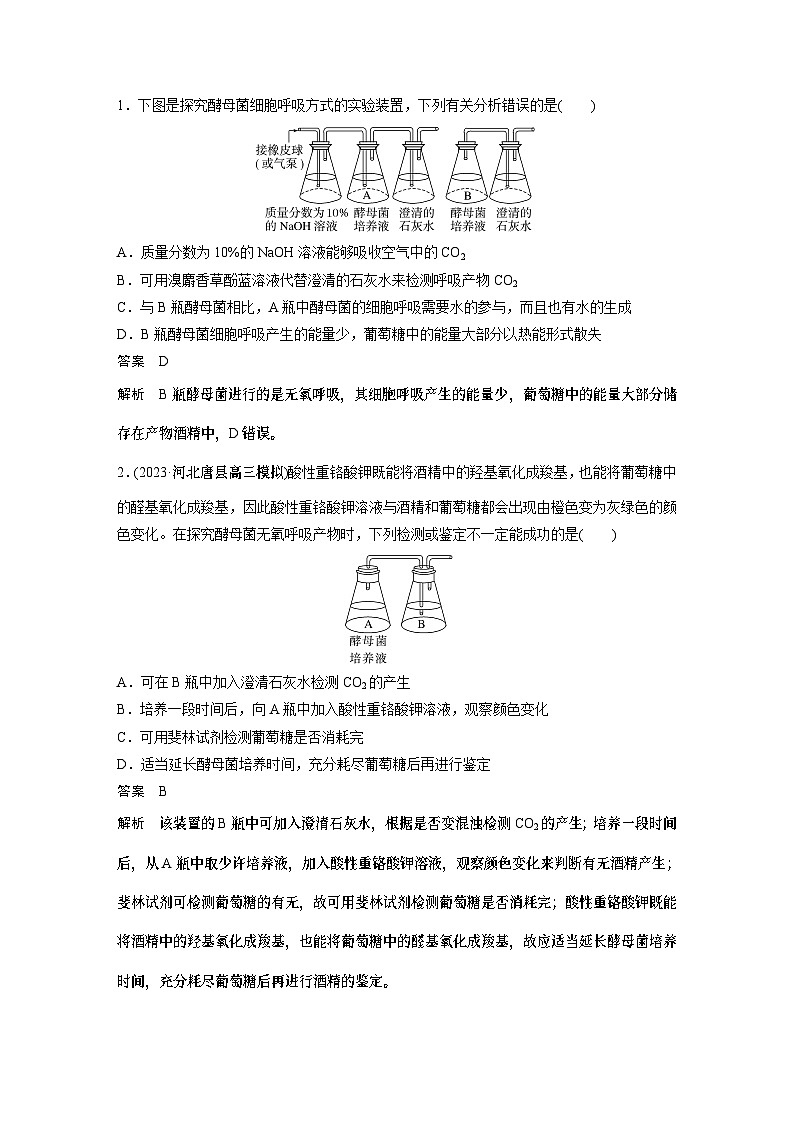 2024年高考生物一轮复习（新人教版） 第3单元　第3课时　细胞呼吸的方式和过程 练习课件03