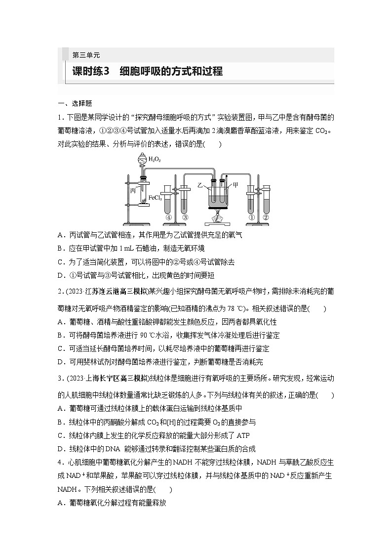 2024年高考生物一轮复习（新人教版） 第3单元　第3课时　细胞呼吸的方式和过程 练习课件01