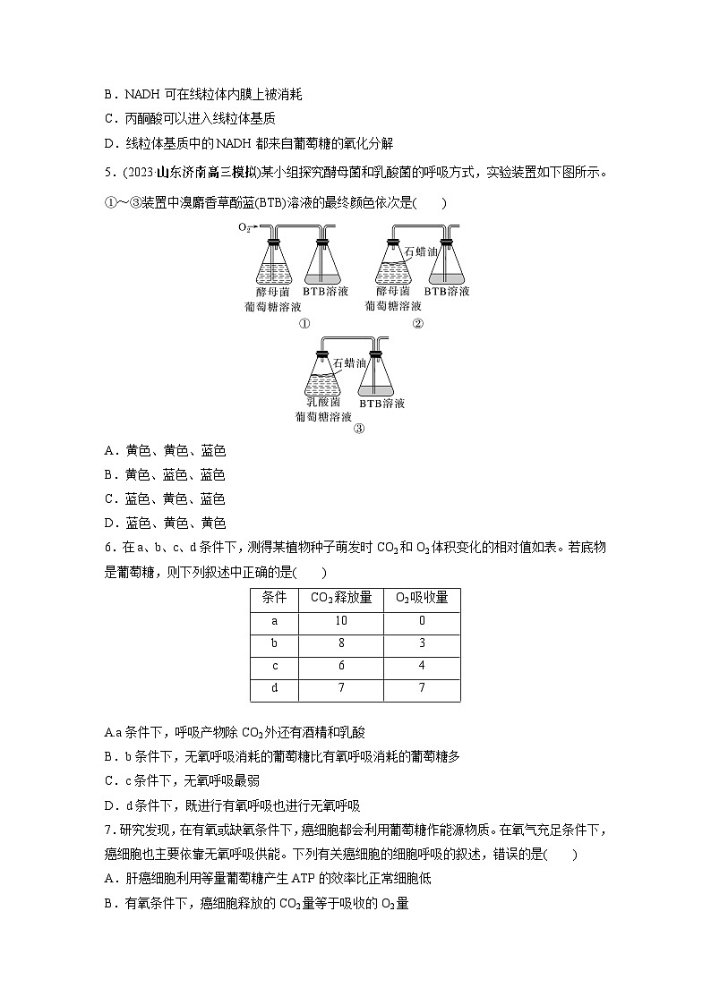 2024年高考生物一轮复习（新人教版） 第3单元　第3课时　细胞呼吸的方式和过程 练习课件02
