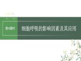 2024年高考生物一轮复习（新人教版） 第3单元　第4课时　细胞呼吸的影响因素及其应用 练习课件