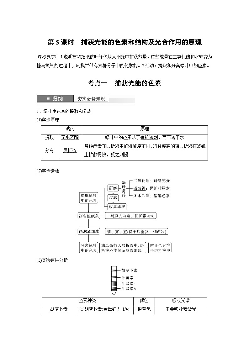 2024年高考生物一轮复习（新人教版） 第3单元　第5课时　捕获光能的色素和结构及光合作用的原理第1页