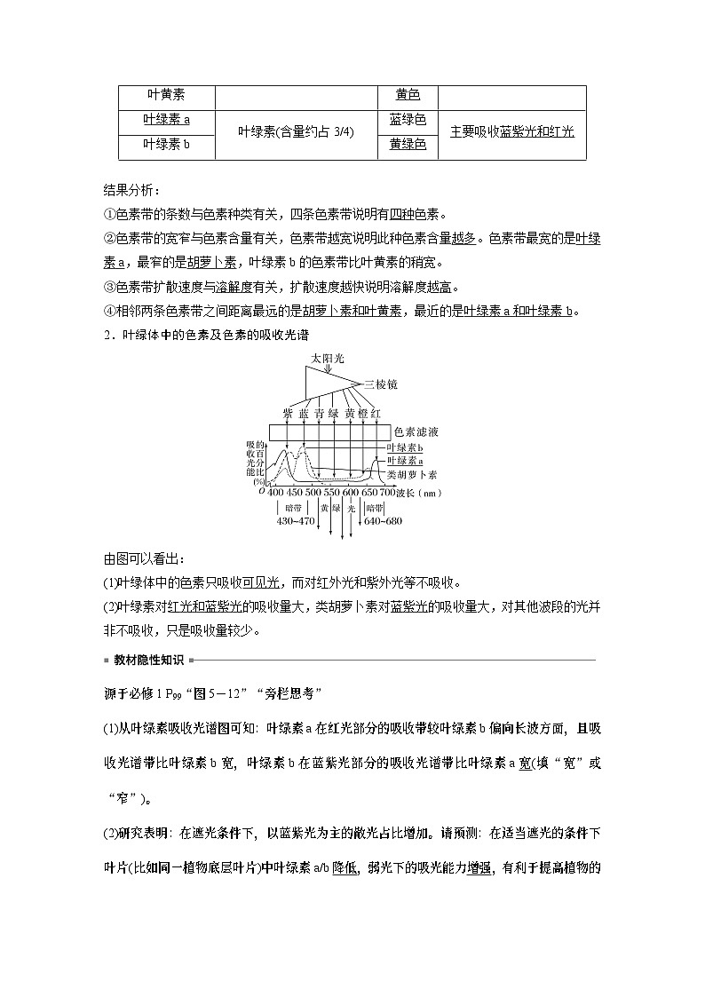 2024年高考生物一轮复习（新人教版） 第3单元　第5课时　捕获光能的色素和结构及光合作用的原理第2页