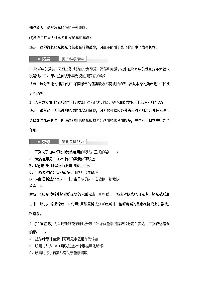 2024年高考生物一轮复习（新人教版） 第3单元　第5课时　捕获光能的色素和结构及光合作用的原理第3页