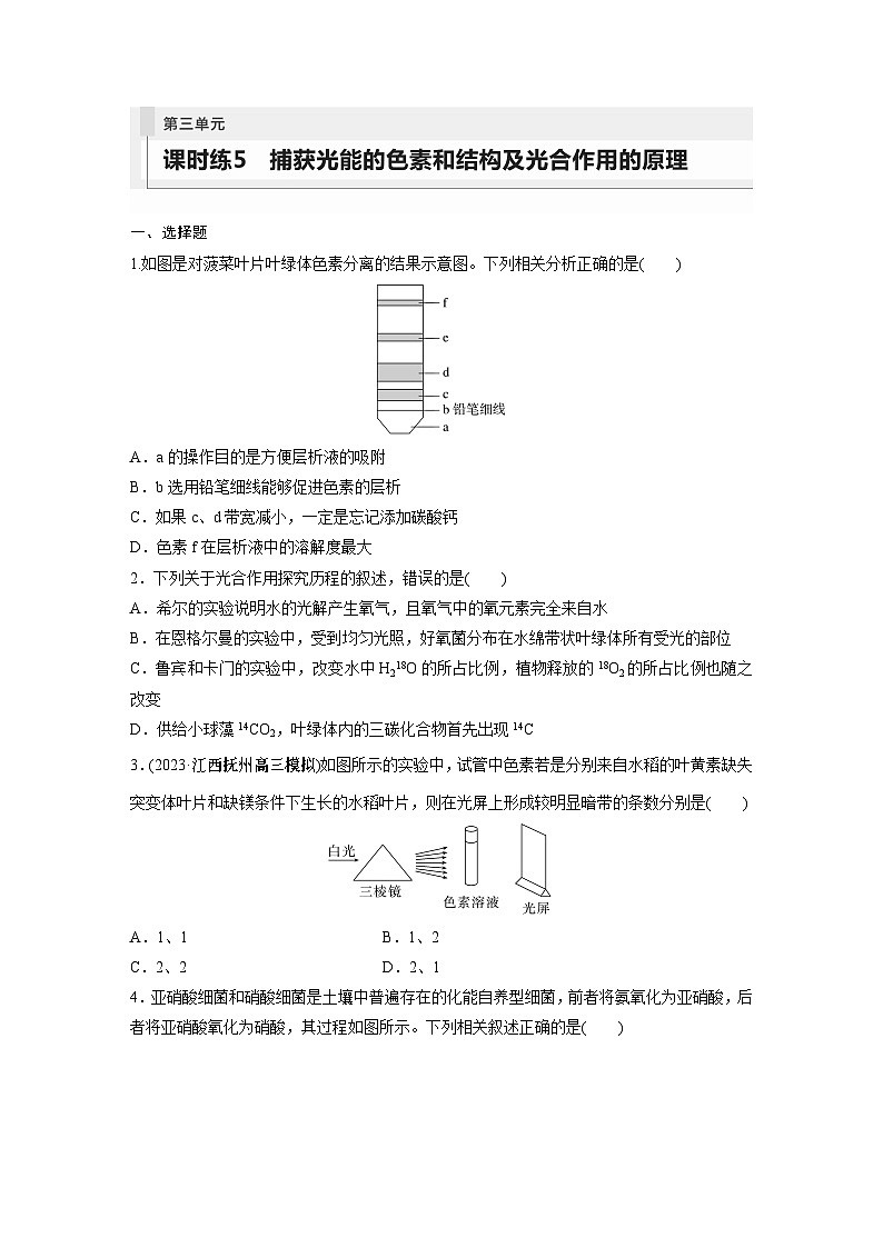 第3单元　课时练5　捕获光能的色素和结构及光合作用的原理第1页