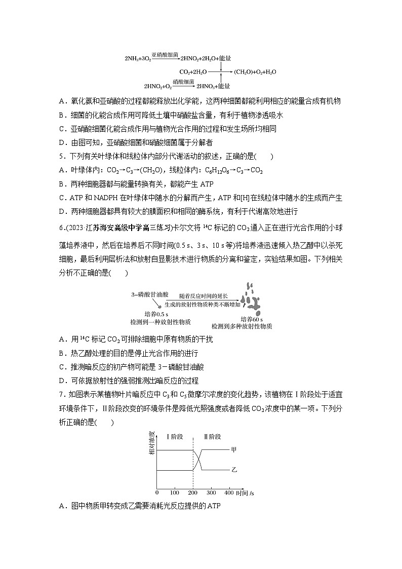 第3单元　课时练5　捕获光能的色素和结构及光合作用的原理第2页