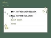 2024年高考生物一轮复习（新人教版） 第3单元　第6课时　光合作用的影响因素及其应用 练习课件