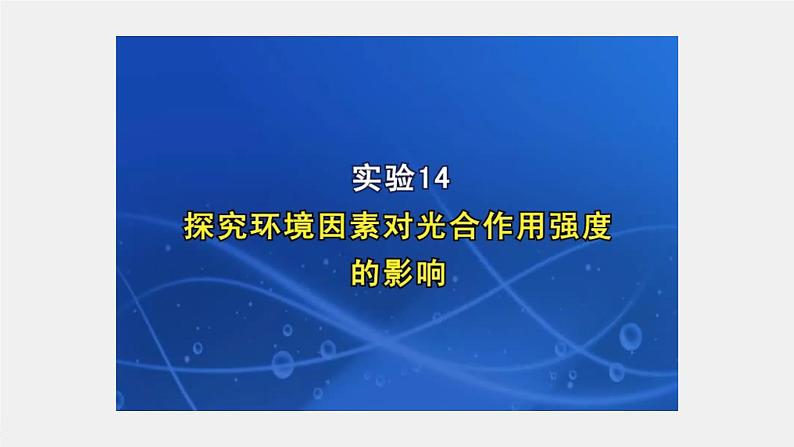 2024年高考生物一轮复习（新人教版） 第3单元　第6课时　光合作用的影响因素及其应用 练习课件07