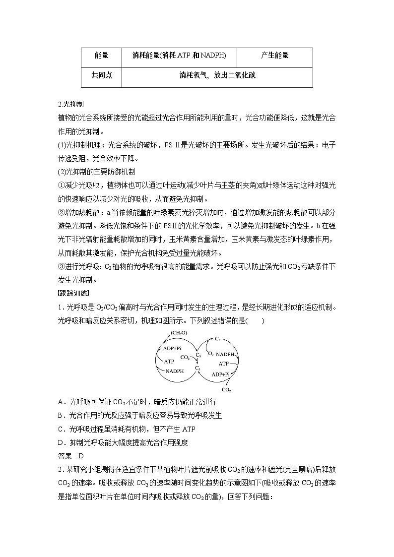 2024年高考生物一轮复习（新人教版） 第3单元　解惑练2　光呼吸和光抑制03