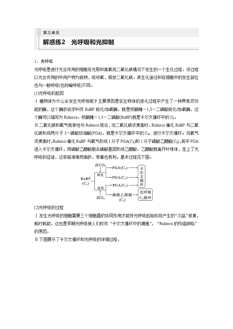 2024年高考生物一轮复习（新人教版） 第3单元　解惑练2　光呼吸和光抑制01