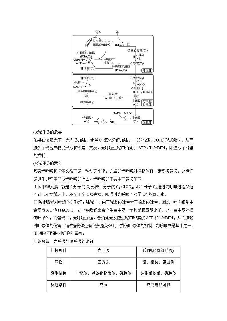 2024年高考生物一轮复习（新人教版） 第3单元　解惑练2　光呼吸和光抑制02