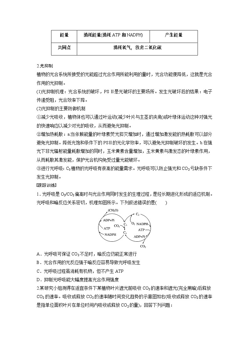 2024年高考生物一轮复习（新人教版） 第3单元　解惑练2　光呼吸和光抑制03