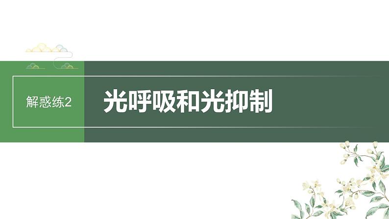 2024年高考生物一轮复习（新人教版） 第3单元　解惑练2　光呼吸和光抑制01