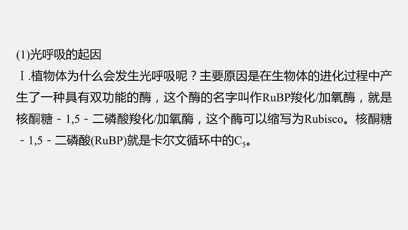 2024年高考生物一轮复习（新人教版） 第3单元　解惑练2　光呼吸和光抑制03