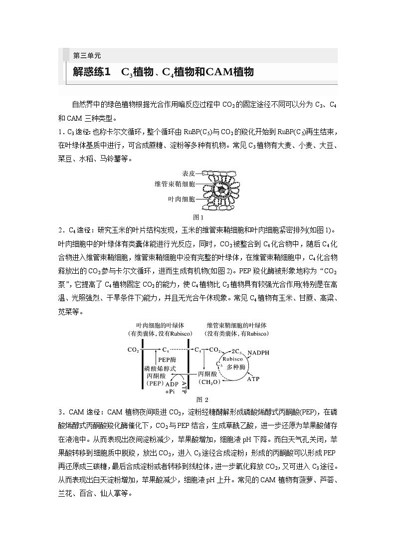 第3单元　解惑练1　C3植物、C4植物和CAM植物第1页