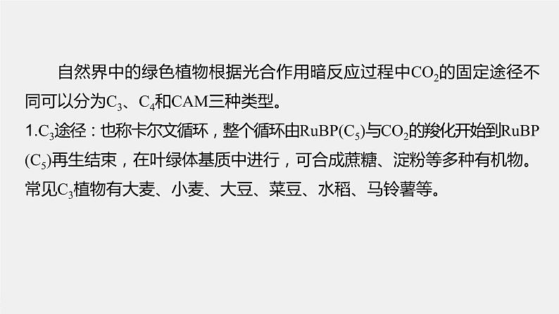 2024年高考生物一轮复习（新人教版） 第3单元　解惑练1　C3植物、C4植物和CAM植物02