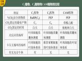 2024年高考生物一轮复习（新人教版） 第3单元　解惑练1　C3植物、C4植物和CAM植物