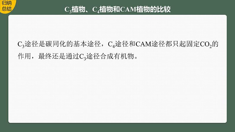 2024年高考生物一轮复习（新人教版） 第3单元　解惑练1　C3植物、C4植物和CAM植物06