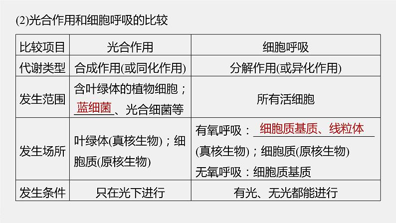 2024年高考生物一轮复习（新人教版） 第3单元　第7课时　光合作用和细胞呼吸的综合分析 练习课件06