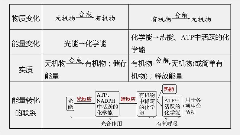 2024年高考生物一轮复习（新人教版） 第3单元　第7课时　光合作用和细胞呼吸的综合分析 练习课件07