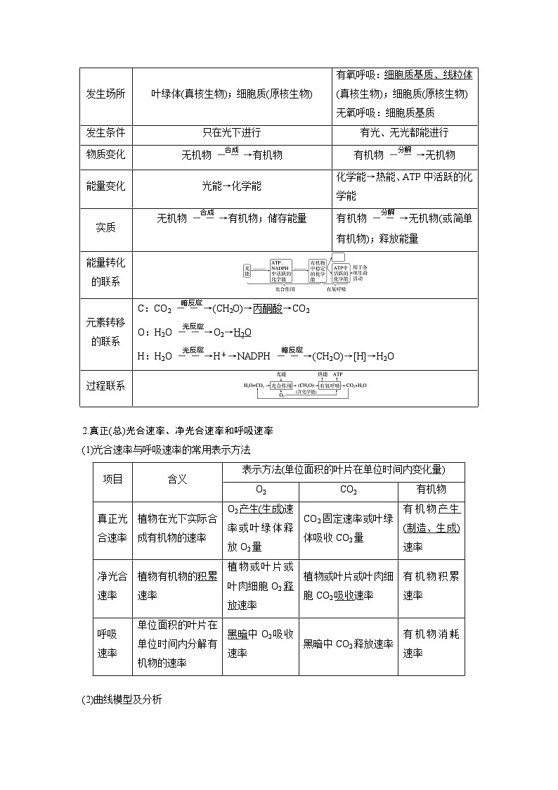 2024年高考生物一轮复习（新人教版） 第3单元　第7课时　光合作用和细胞呼吸的综合分析 练习课件02