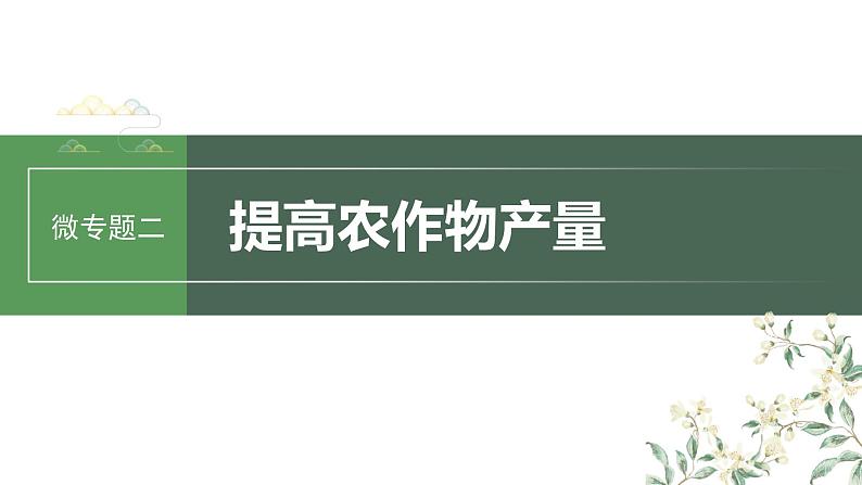 2024年高考生物一轮复习（新人教版） 第3单元　微专题二　提高农作物产量第1页