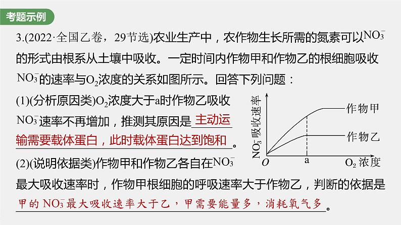 2024年高考生物一轮复习（新人教版） 第3单元　长句表达(二)　细胞代谢中的原因分析第3页