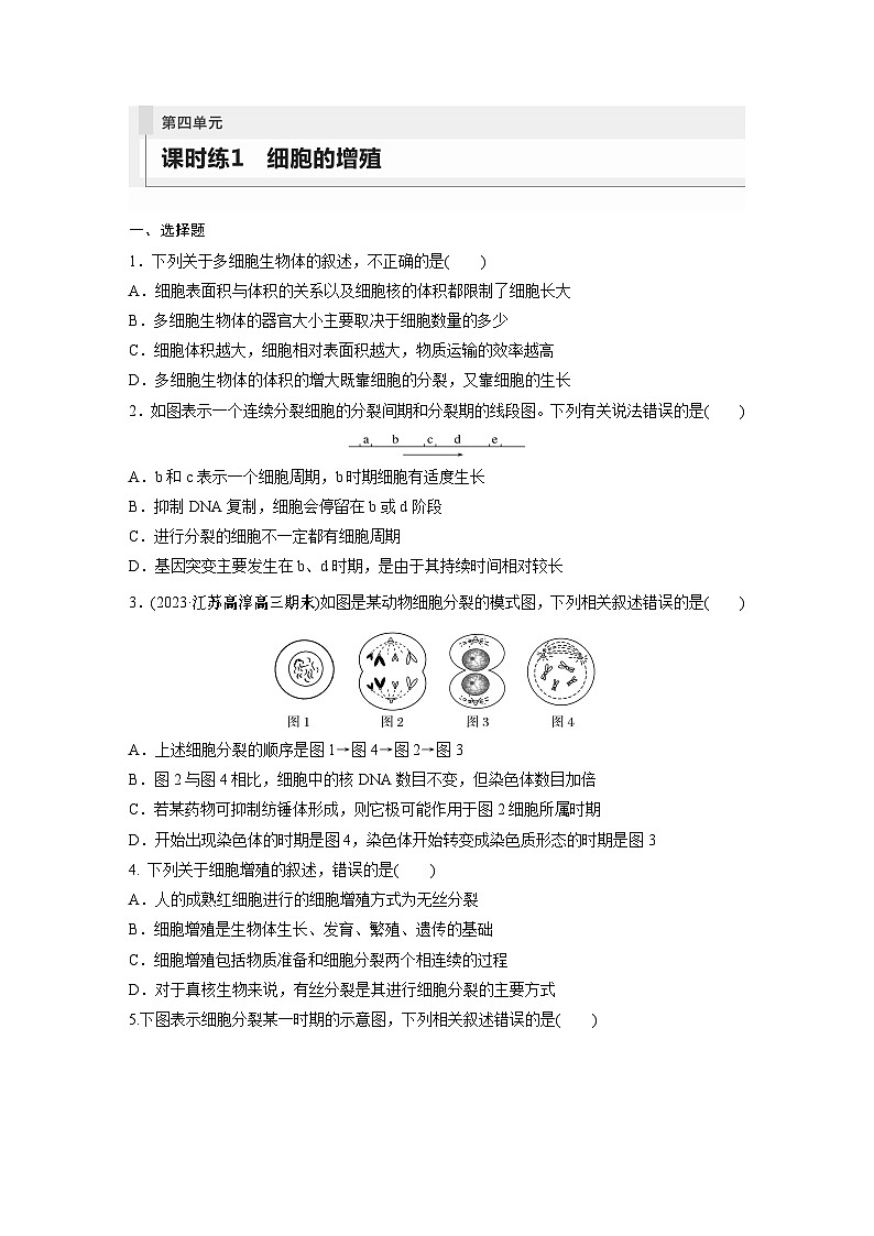 第4单元　课时练1　细胞的增殖第1页