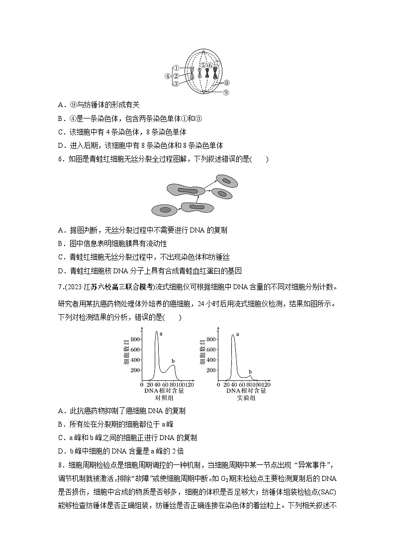 第4单元　课时练1　细胞的增殖第2页