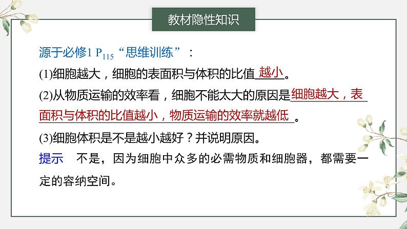 2024年高考生物一轮复习（新人教版） 第4单元　第1课时　细胞的增殖 练习课件08