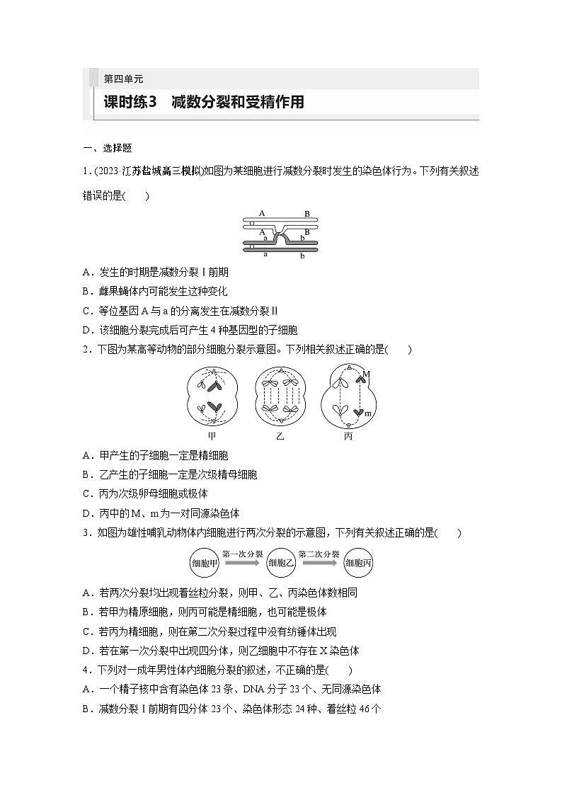 2024年高考生物一轮复习（新人教版） 第4单元　第3课时　减数分裂和受精作用 练习课件01
