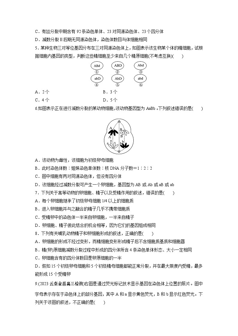 2024年高考生物一轮复习（新人教版） 第4单元　第3课时　减数分裂和受精作用 练习课件02