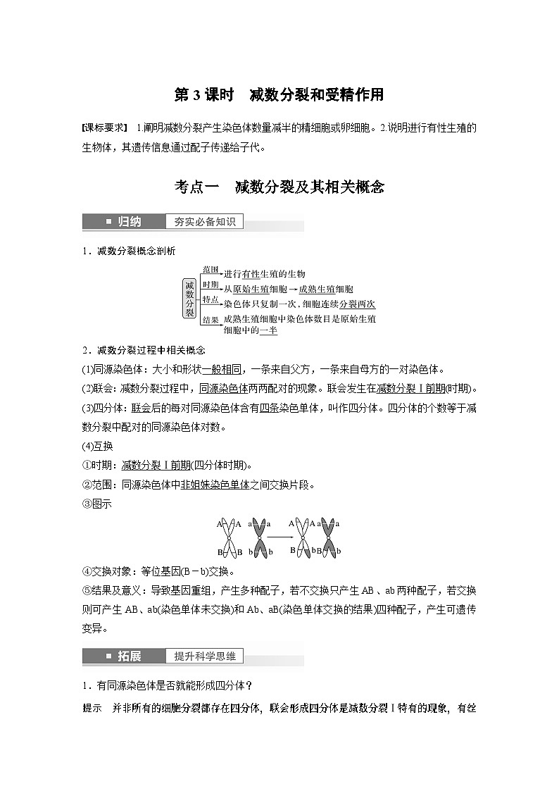 2024年高考生物一轮复习（新人教版） 第4单元　第3课时　减数分裂和受精作用 练习课件01